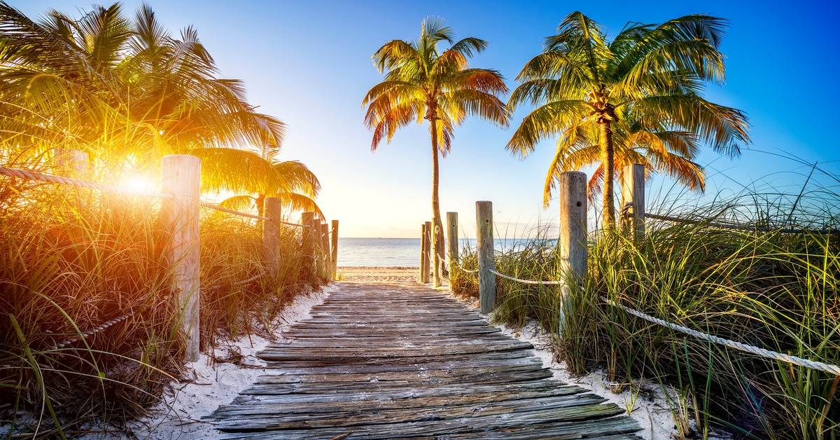 A close-up of a walkway to the beach. The path is surrounded by palm trees, and the sun is peeking through the trees.